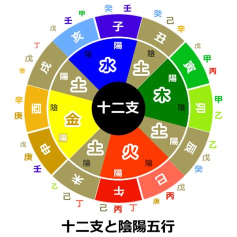 四柱推命 五行 自動計算